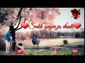 sukh gayi jo dali whatsapp status please like my video Whatsapp Status Video Download Free