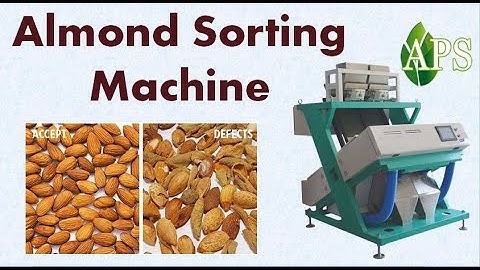 Almond sorting machine , Sorting Almond machine