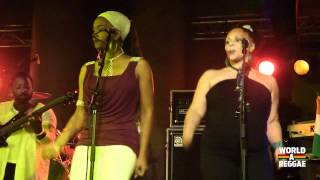 Alpha Blondy & the Solar System Live - Intro @ Nieuwe Oogst, Rotterdam (NL) (5/5/2012)