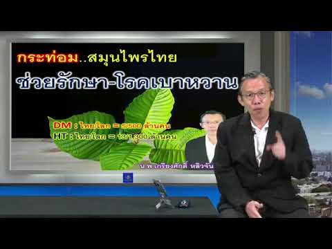 คุยกับหมอเกรียงศักดิ์ เรื่อง กระท่อมช่วยรักษาเบาหวานได้จริงหรือ?? | ข่าวสารล่าสุดเกี่ยวกับ สรรพคุณใบกระท่อม