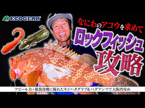 新製品-ソルトSWルアー - YouTube