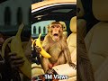 AI Monkey's Insane Money Hack #ai #viral #shorts