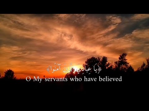 The Holy Quran recited by Abdul Rahman Massad #MyDesign