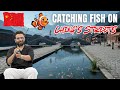 Catching Fish on China’s Streets… Who Needs a River? 