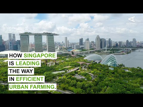 How Singapore is leading the way in efficient urban farming.