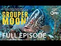 Grouper Moon - Full Episode