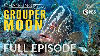 Grouper Moon  Full Episode