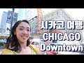 미국 시카고 교통수단 & 관광  Chicago Downtown city tour & Transportation :: 영애의 미국여행