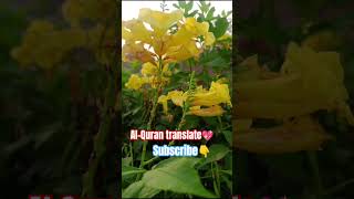 Al-Quran translate❤ #pak #islamicgreeting #shortvideo #ytshorts #viral #traindingvideo #ny #ksa #uk