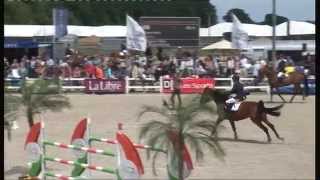 Dextra Finale Gesves Bk Zesjarige Paarden