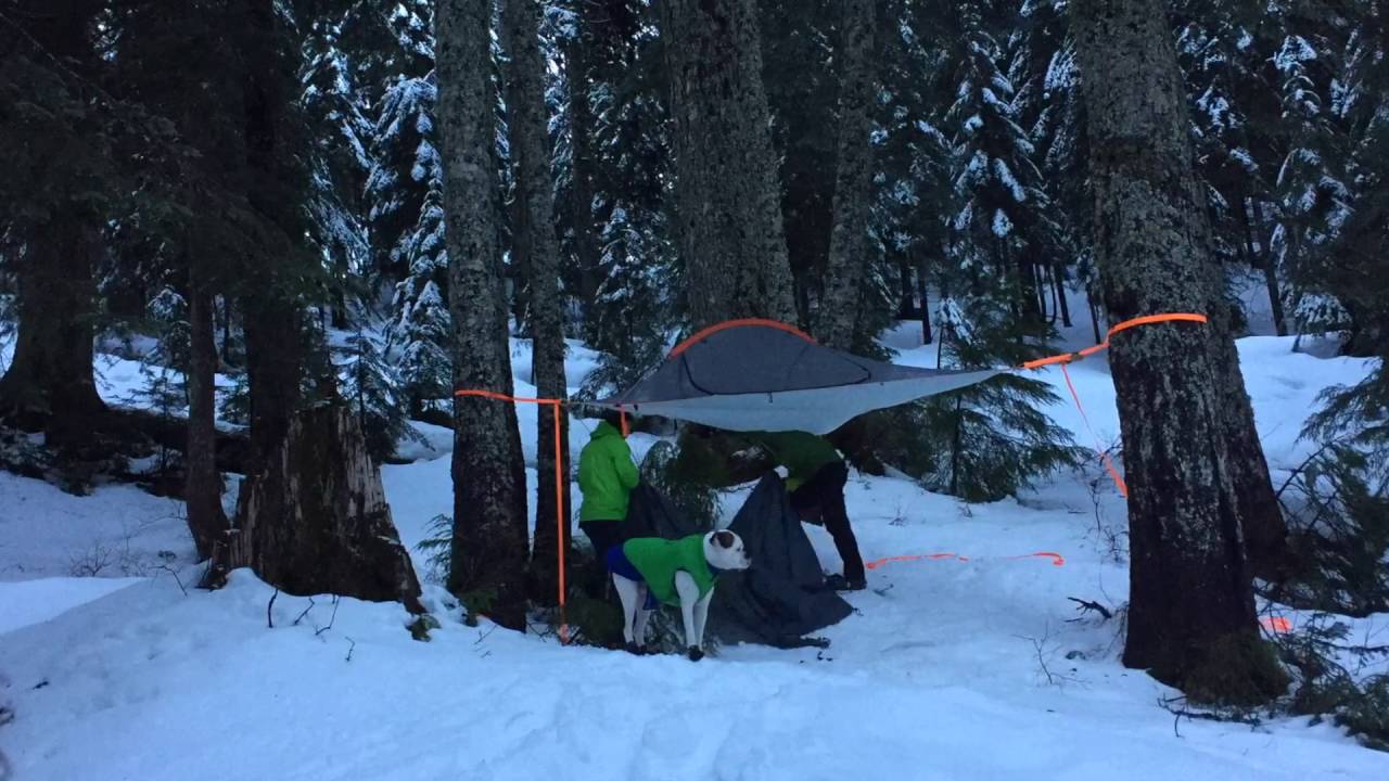 Tentsile FLITE Review YouTube