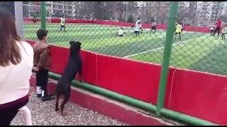 Köpeğe bak😀