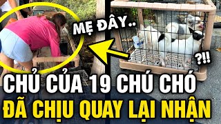 Cô gái bỏ rơi 19 CHÚ CHÓ ở chung cư đã quay lại BẬT KHÓC khi thấy đàn con bơ vơ | Tin 3 Phút