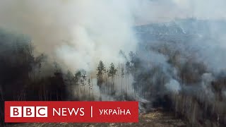 Пожежі та браконьєри в Чорнобилі: як вони впливають на тварин?