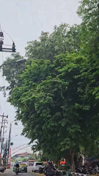 selamat pagi#pagi #goodmorning