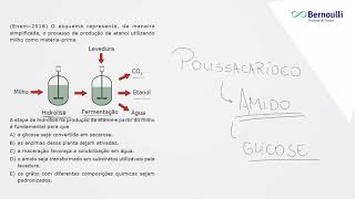 V3gm biologia