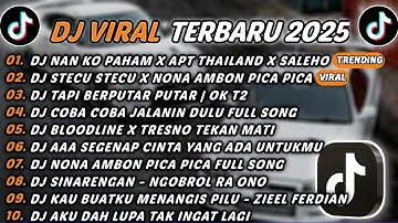 DJ TIKTOK TERBARU 2025 - DJ NAN KO PAHAM X APT THAILAND X SALEHO🎵DJ STECU STECU X PICA PICA🎵FULL