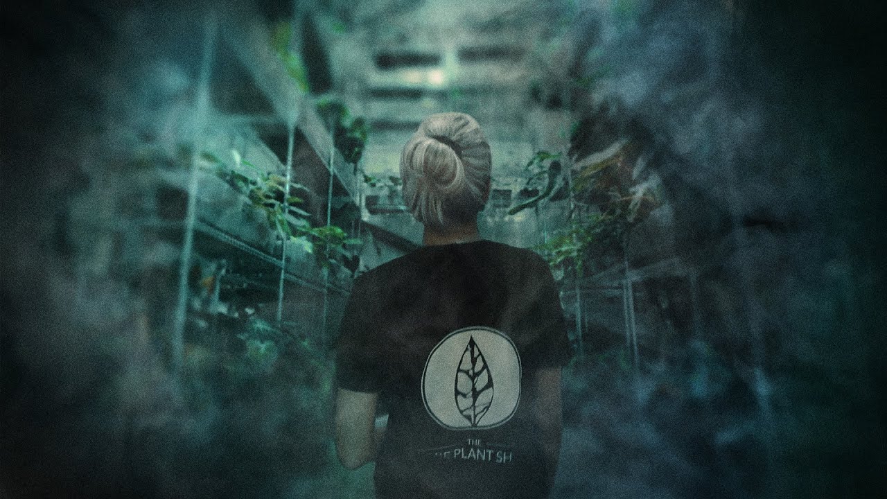 Behind The Rare Plant Shop Ep4 The Journey YouTube