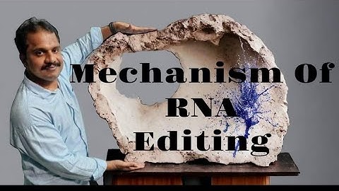 Mechanism of RNA editing.