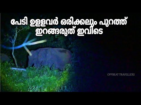 പേടി ഉള്ളവർ ഒരിക്കലും പുറത്ത് ഇറങ്ങരുത് | Ambulli Illam | Anamalai Tiger Reserve |
