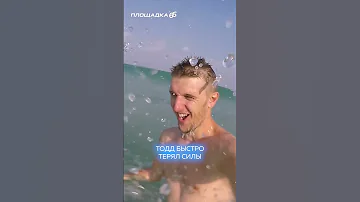 ДЕЛЬФИНЫ СПАСЛИ СЕРФЕРА ОТ АКУЛЫ