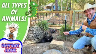 All Types of Animals for Kids | Cowboy Jack at The Learning Zoo