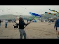 Lets go fly a kite  small town big story  morro bay ca