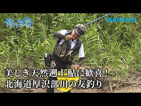 【釣り百景】#501 美しき天然遡上鮎に歓喜！北海道厚沢部川の友釣り
