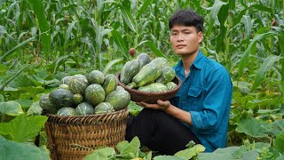 Harvest pumpkins and bring them to the market to sell, Cooking on the farm