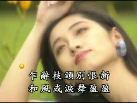 飄零的落花