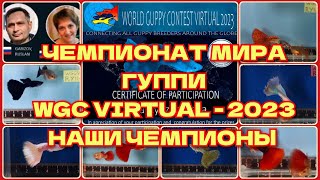 ЧЕМПИОНАТ МИРА ГУППИ 2023 / WORLD GUPPY CONTEST VIRTUAL 2023 / НАШИ ЧЕМПИОНЫ и ПРИЗЕРЫ.