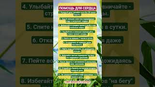 ПОМОЩЬ ДЛЯ СЕРДЦА!!! #здоровье #зож #витамины #рецепты #сердце #пп #факты #шортс