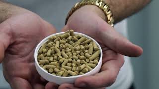 Holistic Hopper Care & Bean Storage