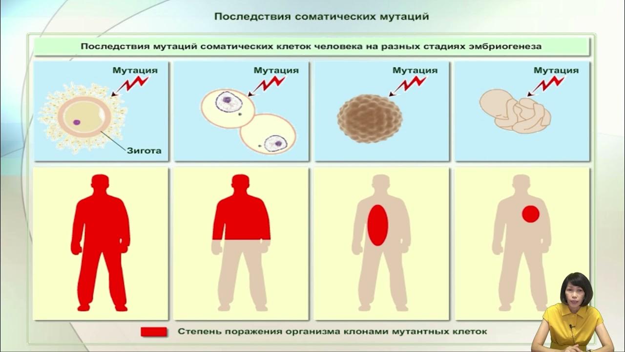 Классификация мутаций