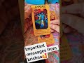 #love#viral#tarot#love#meera#radha#krishna#tarotreading#angel#messages#viralvideos