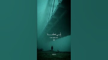 قال لا تخافا 🖤😴 | القارئ محمد ديبيروف | تلاوة خاشعة القرآن الكريم