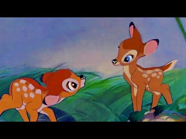 Bambi conhece a Falina - adjetivos