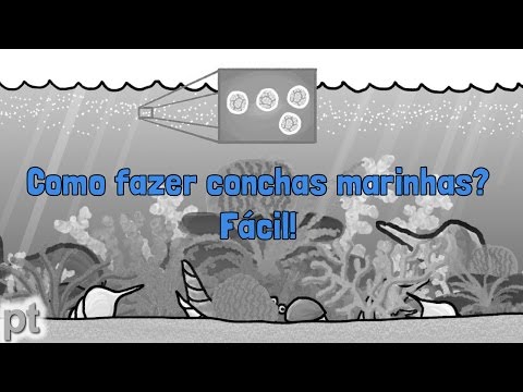 Vídeo: Conchas do mar são boas para papagaios?