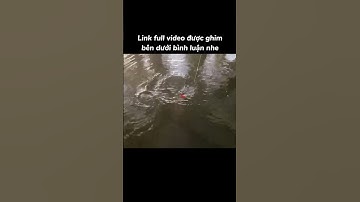 Câu cá rô đồng mà gặp con cá này đẹp quá | Tập 15