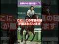 違和感シリーズ　#競馬　#shorts #クイズ