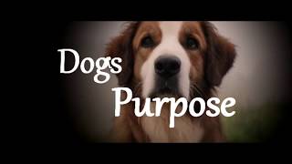 Best Day Of My Life A Dogs Purpose Edit