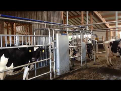 DeLaval DSG5 - German