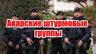 Что такое ЧВК, и почему аварам необходимо формировать свои штурмовые отряды?