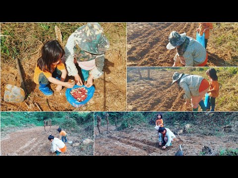 Video: Npaj Rau Lub Caij Ntuj No - Cucumbers Hauv Lws Suav Muab Tshuaj Txhuam