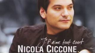 Video thumbnail of "Nicola Ciccone - La beauté des petites choses et autres gestes anodins (avec paroles)"