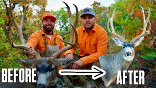 MOUNTED MY BIG BUCK (CURLY) FROM LAST YEAR!