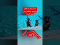 تعليم السباحة فوبيا أحمد تخلص من فوبيا الماء تعليم السباحة فوبيا أحمد تخلص من فوبيا الماء