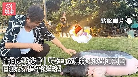 唐伯虎點秋香｜「寧王」67歲林威淡出演藝圈　回鄉養豬過平淡生活