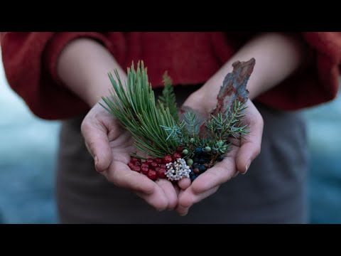 FIVE WILD EDIBLES to forage during Nordic winters