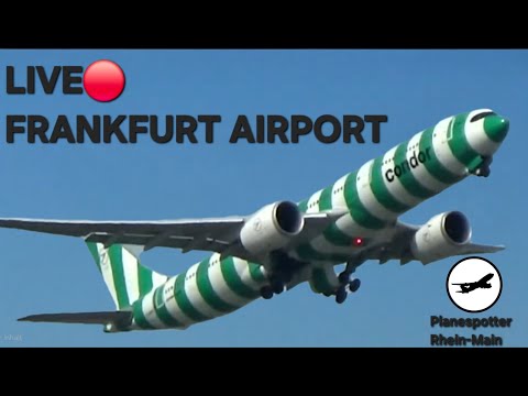 LIVE🔴 Frankfurt Airport Planespotting sunday☀️🛫 25 Betrieb